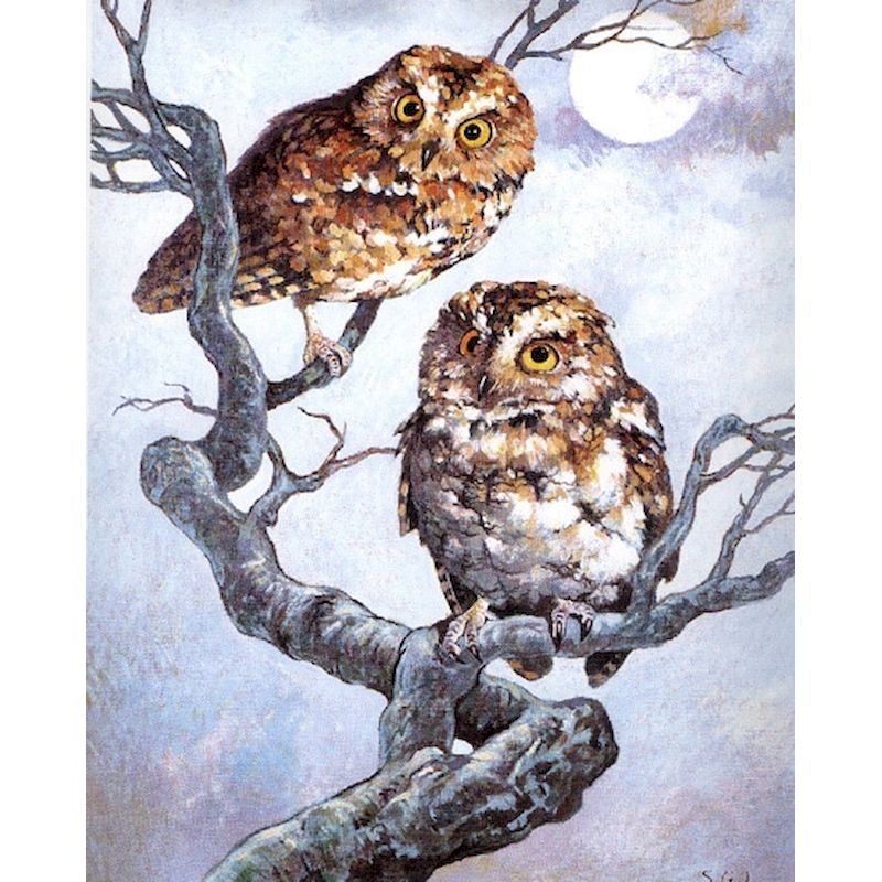 Paint By numbers for Adult - Two Owls in the snow framed canvas