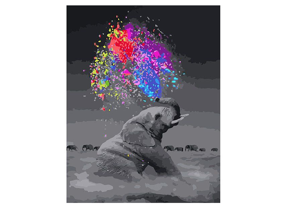Paint By numbers for Adult - Colourful Elephant Framed