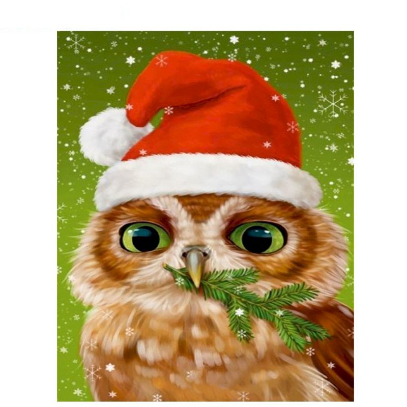 Paint By numbers for Adult - Christmas Owl