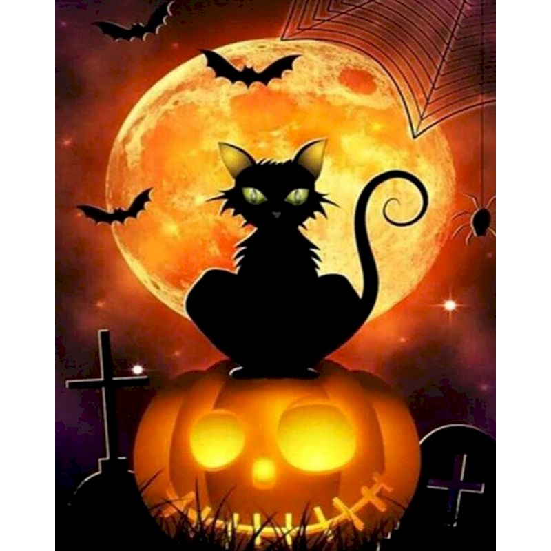 Paint By numbers for Adult Halloween Pumpkin Cat