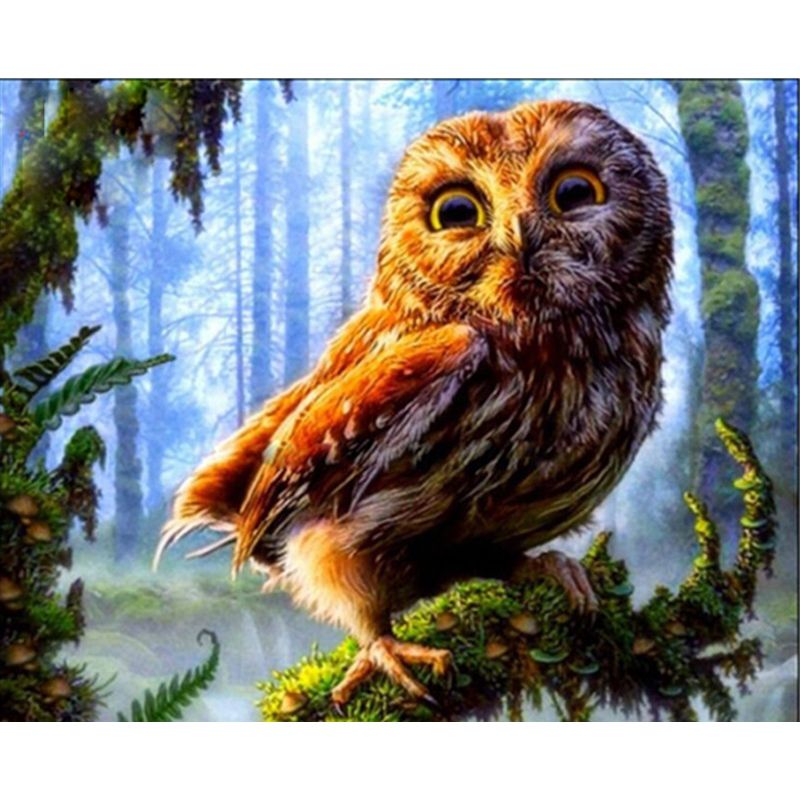 Paint By numbers for Adult - Curious Owl