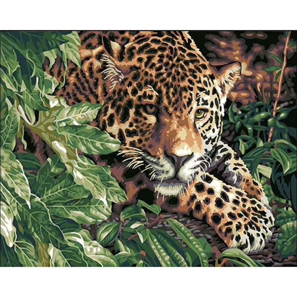 Adult Paint by numbers - Leopard Framed canvas 50 x 40